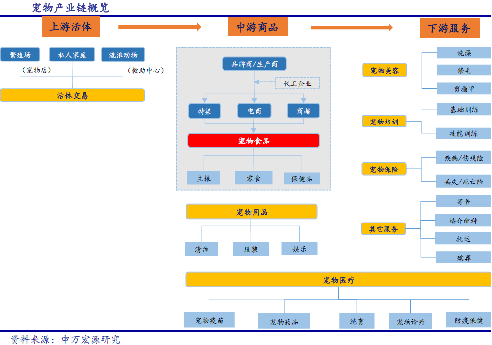 一财研选｜云计算发展空间巨大，打破供给壁垒开启新创周期｜宠物服务视角下的云生态映射