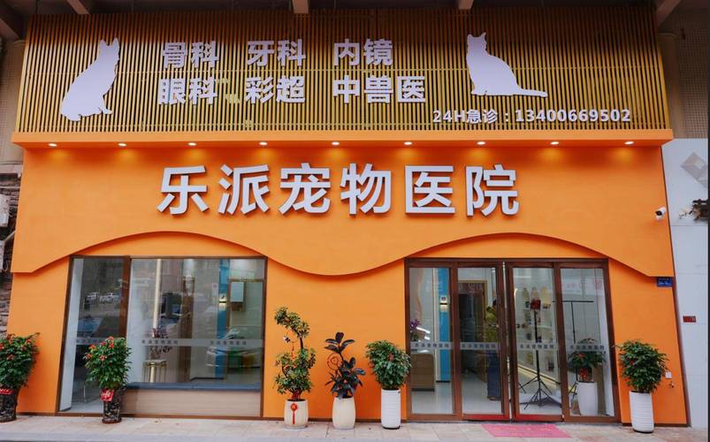 犬猫寄养企业梳理 场景解决方案:漳州地区综合服务机构推荐指南