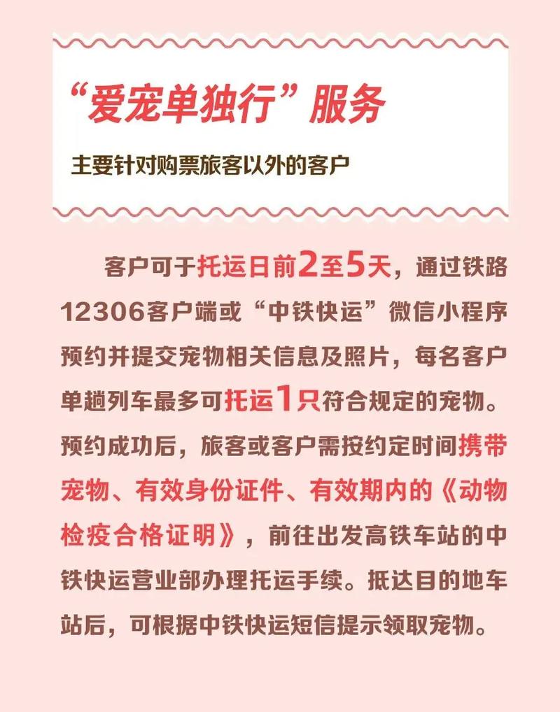 高铁“爱宠行”扩容，宠物出行更从容 新增32座车站，服务升级背后的温度与思考