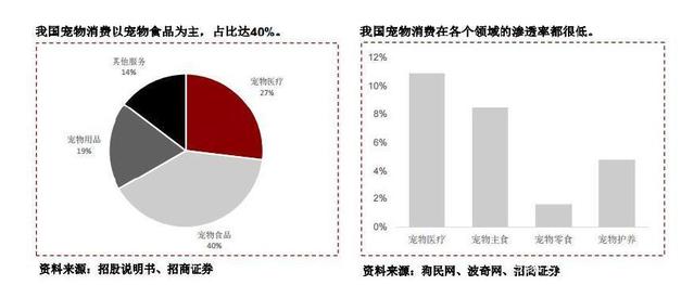 中国宠物经济爆发,宠物咬胶ODM龙头进军国内市场