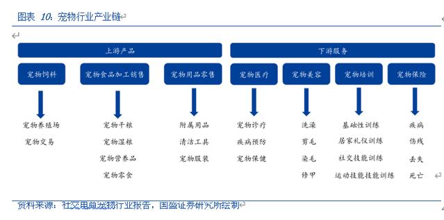宠物行业投资机会分析:万亿赛道,投资掘金正当时